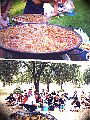 111,7 Kbytes (480 x 640)