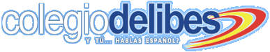 Spanish courses in Spain. Colegio Delibes