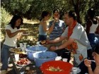 Fiestas en el campo