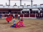 La capea del verano