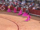Vamos a una corrida de toros