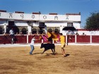 ¡¡¡¡¡¡¡Olé!!!!!!!